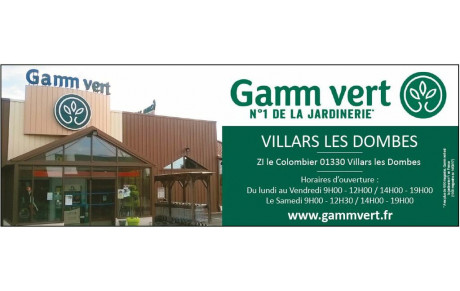 GAMM VERT